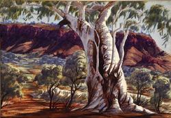 Macdonell Range Near Alice Springs